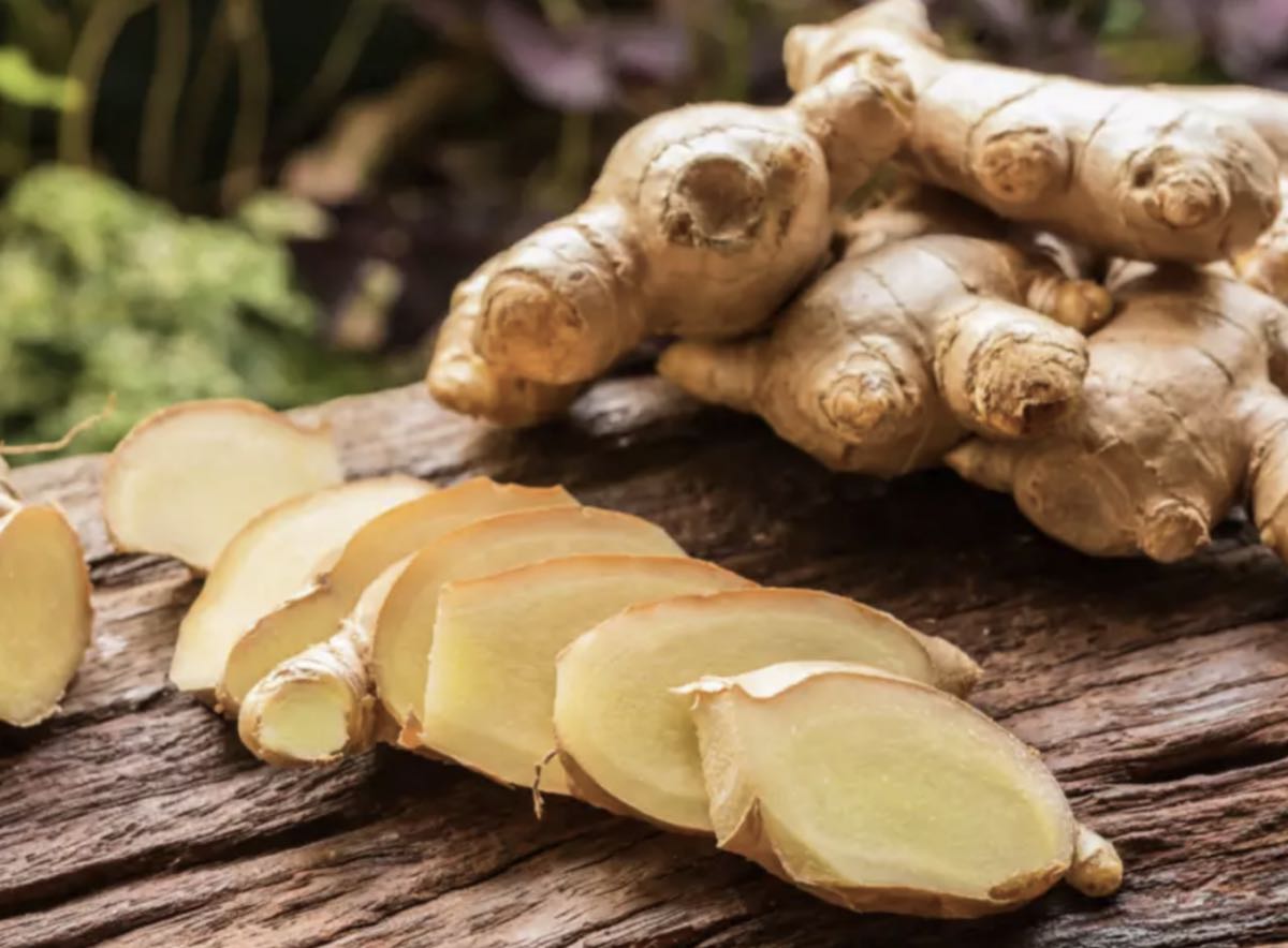 Ginger