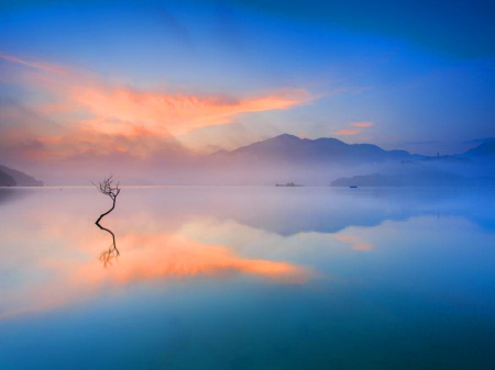 stillness
