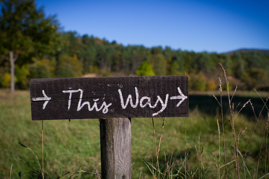 Finding Direction Quotes