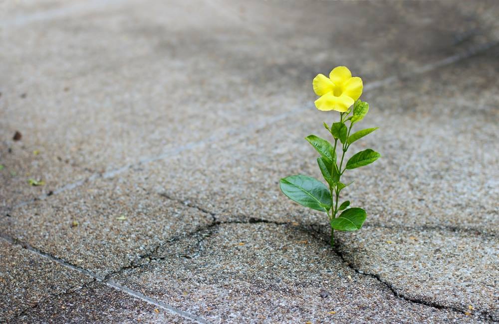 why is hope so important