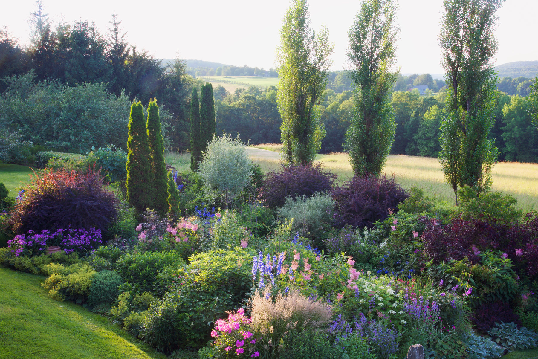 Life is a garden