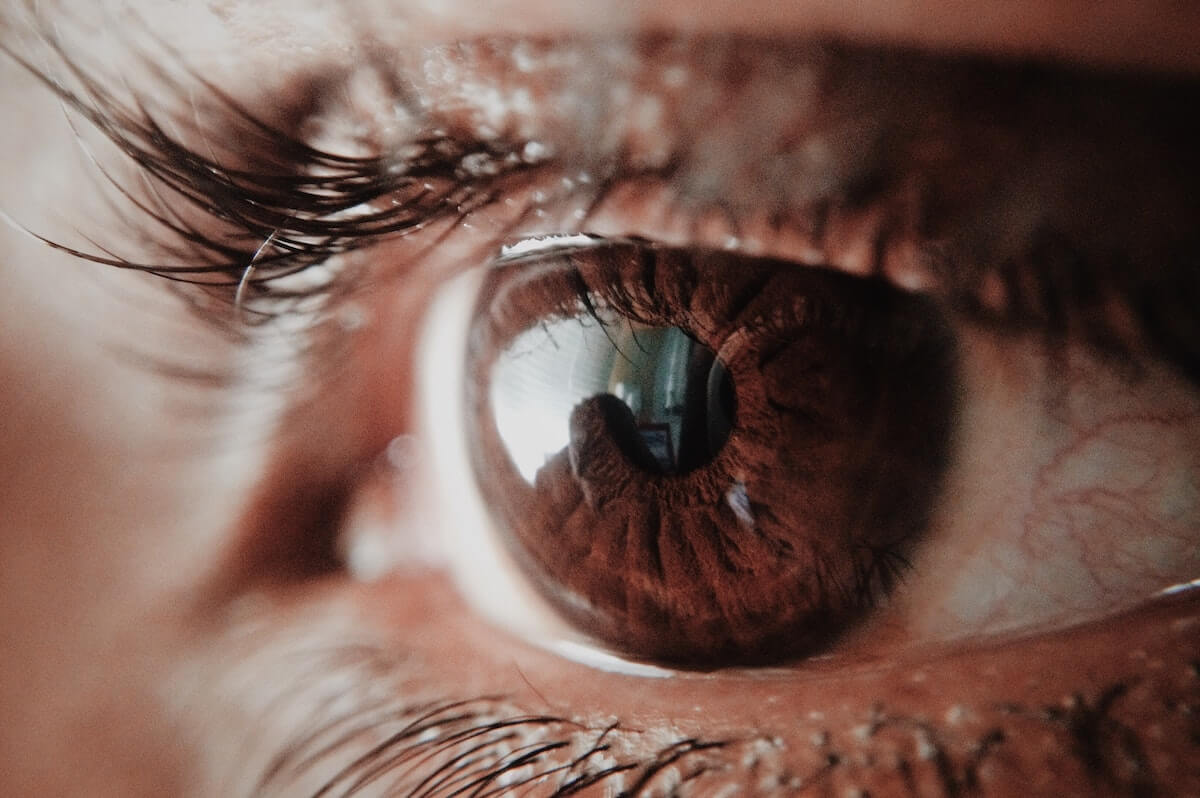 Vision
